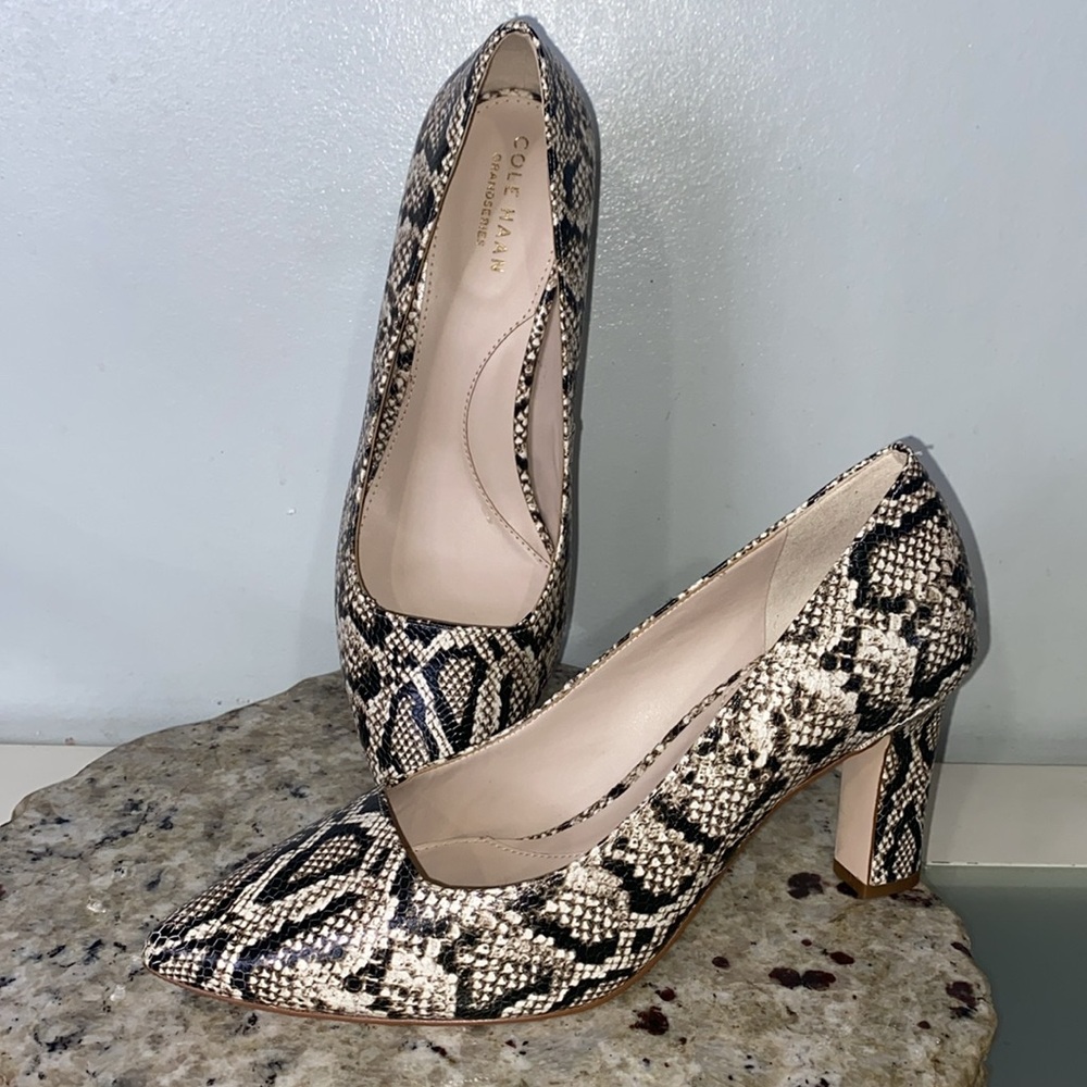Cole Haan Snake Skin Embossed Leather Pointed Toe Square Heel Pumps Size 8 NWOB